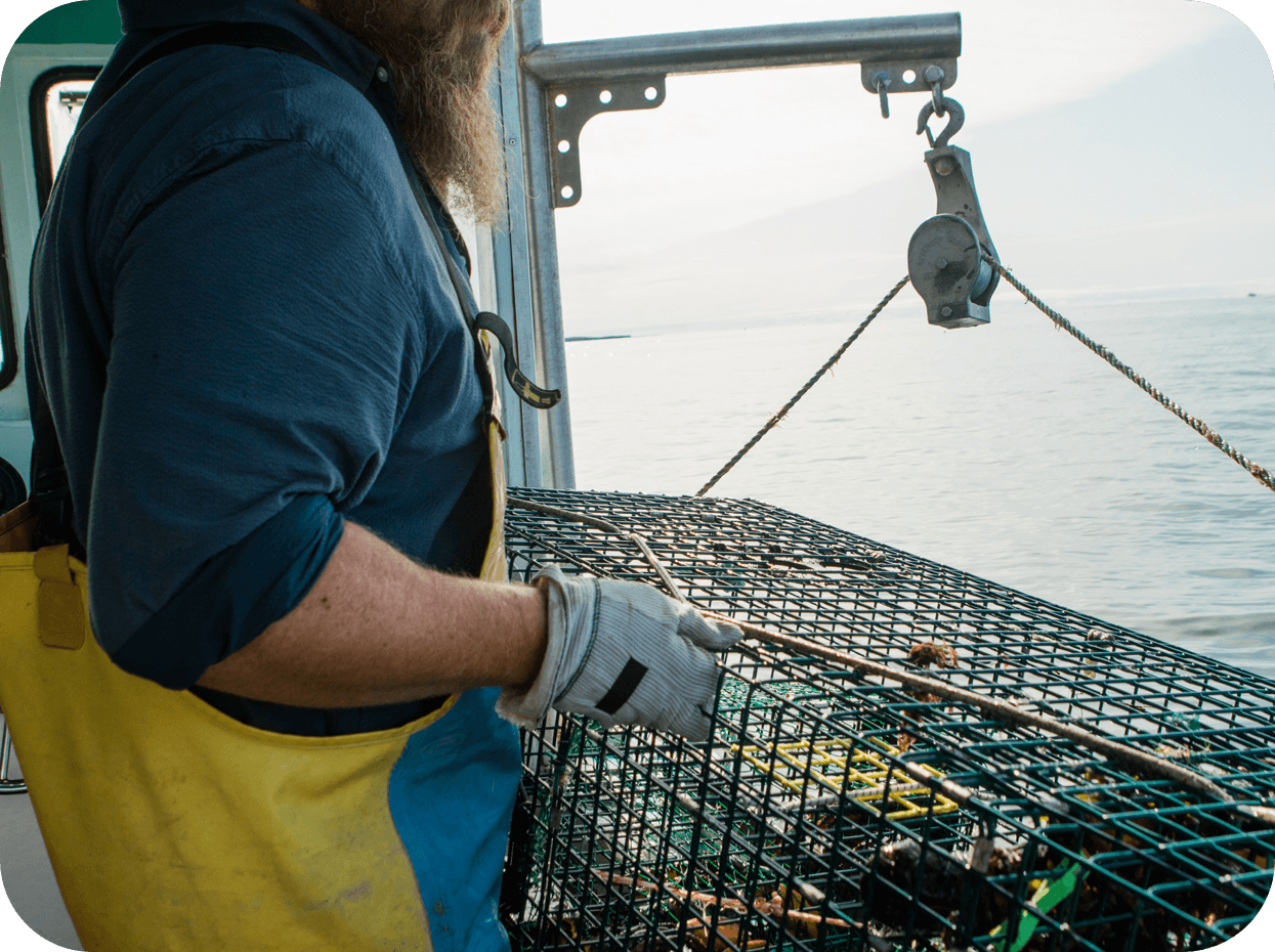 An image of a lobsterman as he works on a lobster trap on the side of his boat.