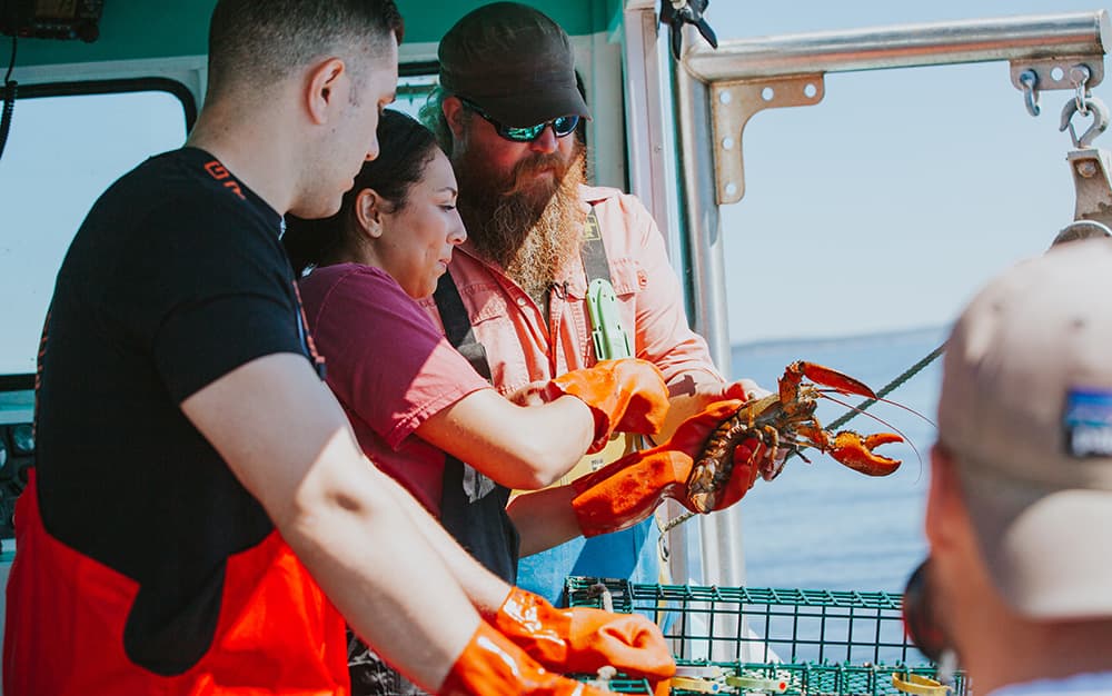 A photo of our Trenton & Philly owners on a lobster boat in Maine, as a Maine lobsterman shows them how to check a lobster for eggs for sustainability measures.