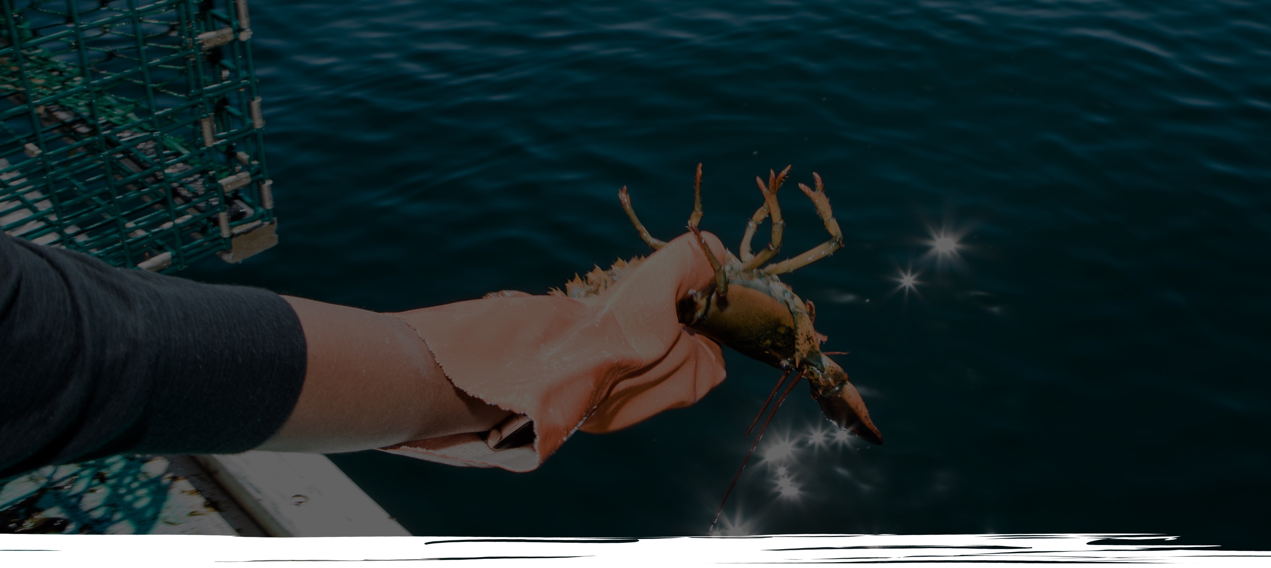 Cousins Maine Lobster Tampa - 2hqp3om